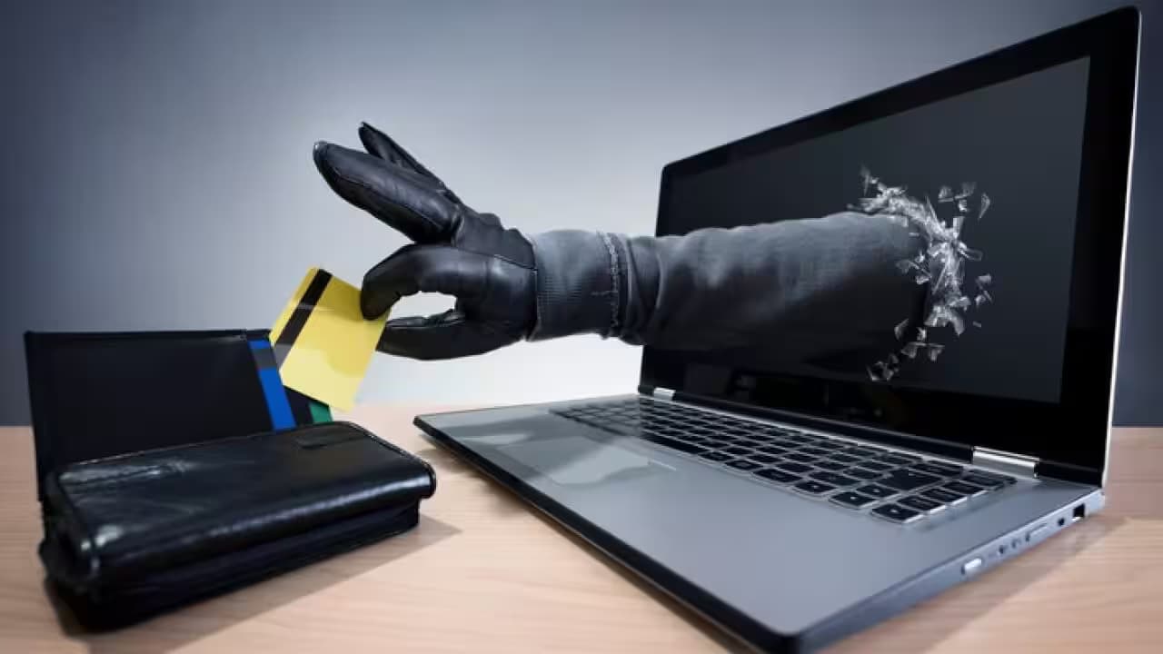 Das perfekte Lernportal: Erfahrungsberichte und Infos zu Videokursen