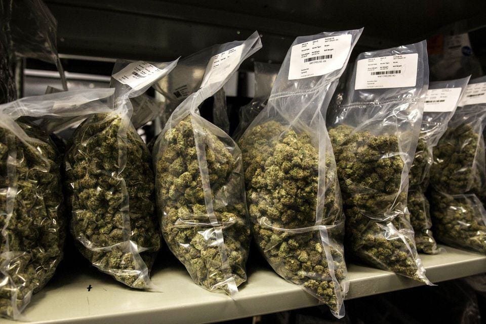 Entdecke einzigartige Strains und jetzt Cannabis Samen bestellen
