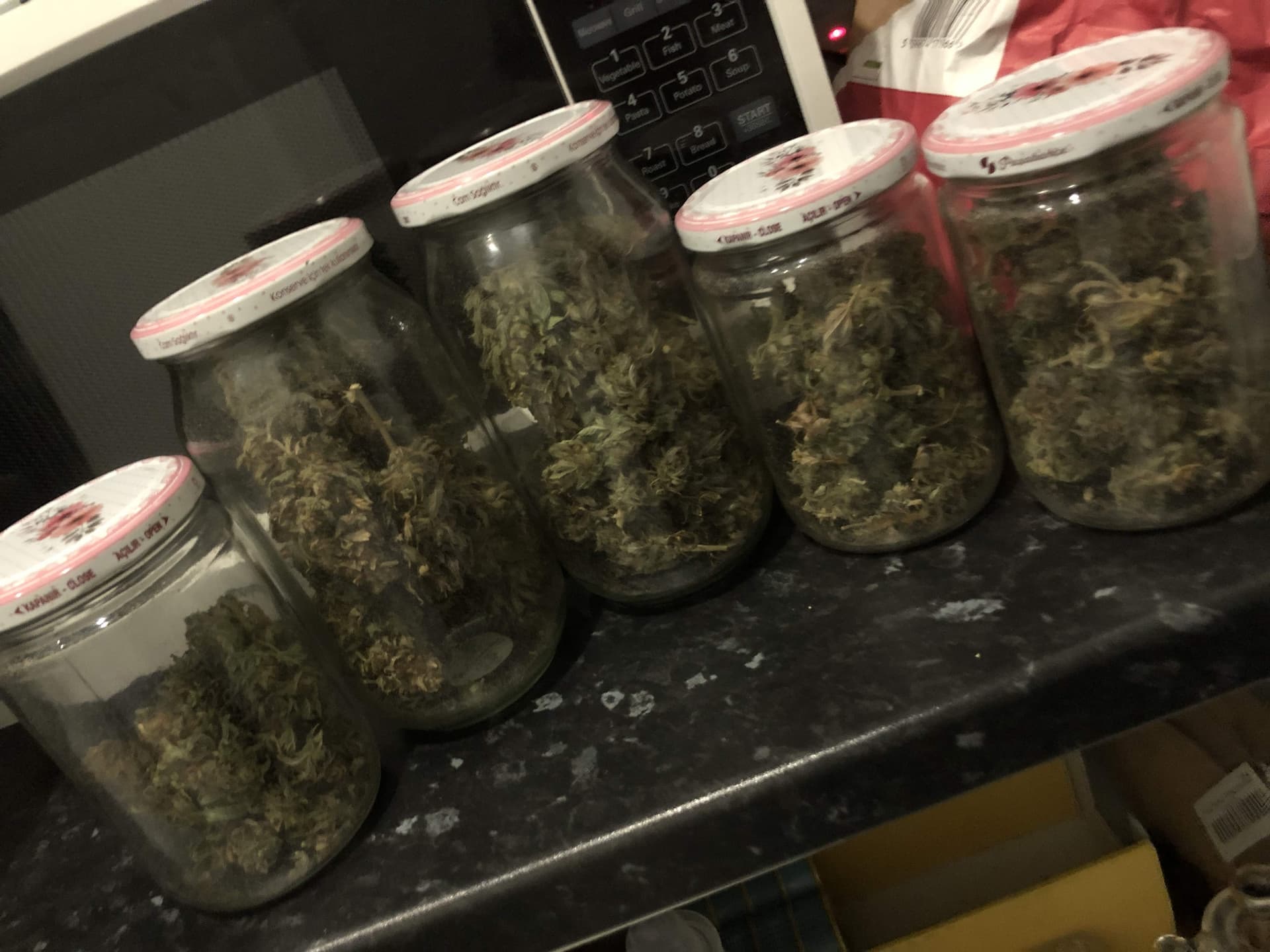 Entdecke die außergewöhnliche Welt von Platinum Mimosa Cookies Double XL Autoflower!
