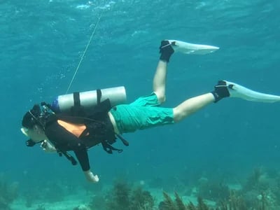 Dive Center Mexiko: Tagesausflüge voller Adrenalin und Schönheit