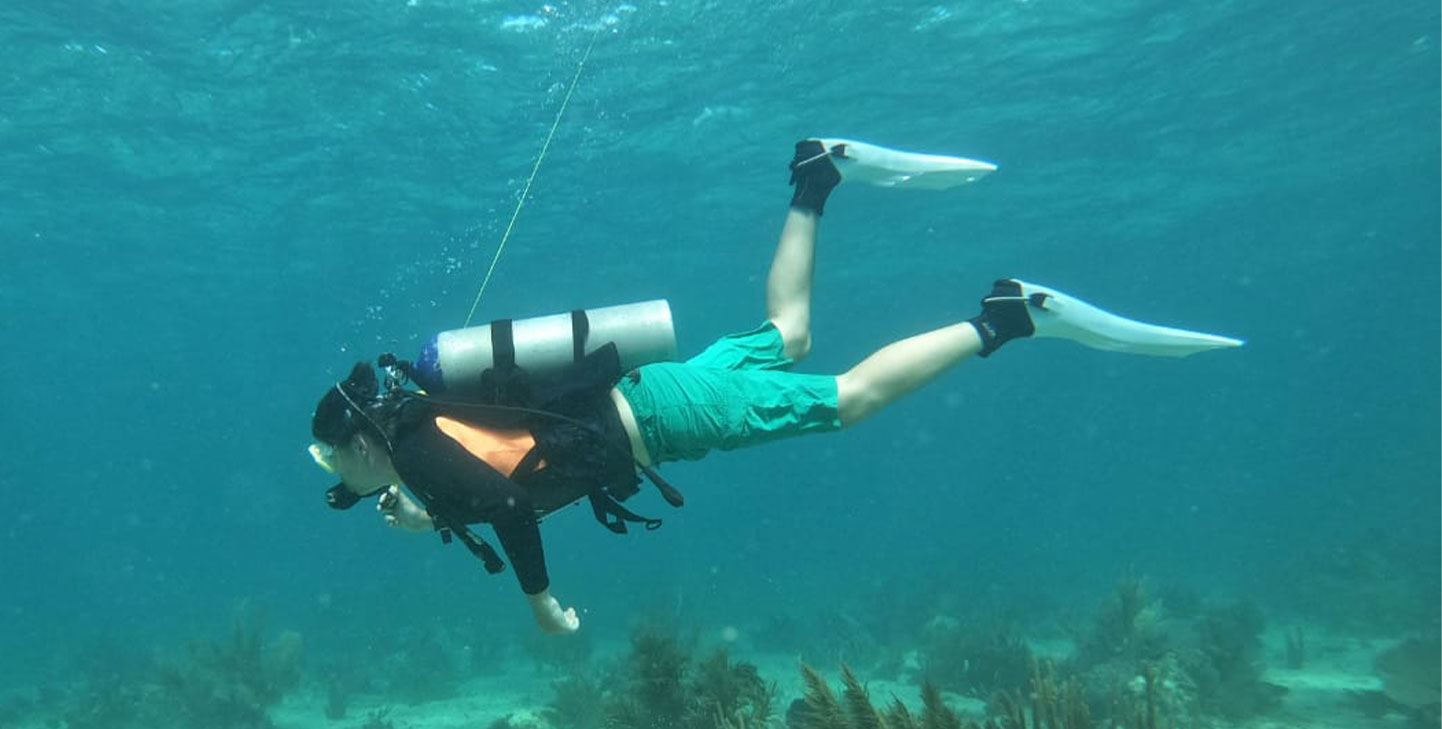 Dive Center Mexiko: Tagesausflüge voller Adrenalin und Schönheit